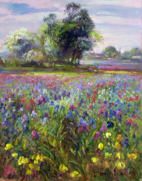 Irises and Distant May Tree, 1993