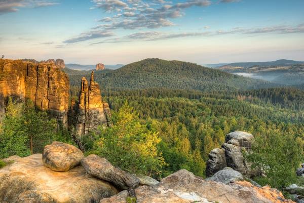 Brosinnadel in der Sächsischen Schweiz