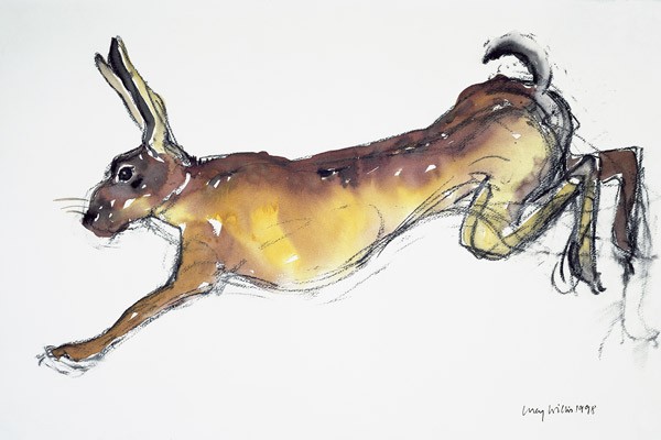 Jumping Hare (w/c & charcoal on paper)