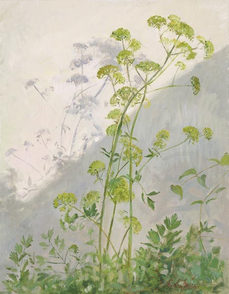 Lovage Against Diagonal Shadows, 1999 (oil on canvas)