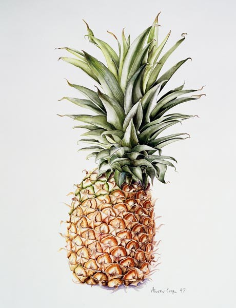 Pineapple