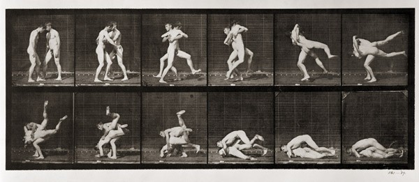 Two Men Wrestling, plate 347 from ''Animal Locomotion'', 1887 (b/w photo)