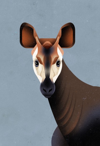 Okapi