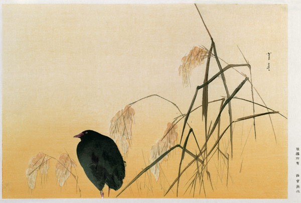 Blackbird, Edo Period (silk scroll)