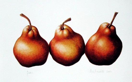 Pears, 2000 (w/c on paper)