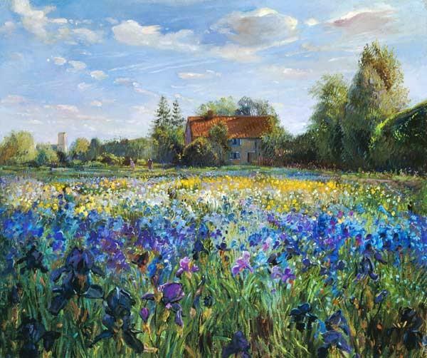 Evening at the Iris Field